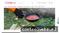 Screenshot strony foodlovers.pl