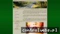 Screenshot strony www.translate.net.pl