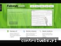 Screenshot strony fulczyk.com