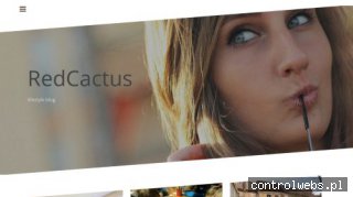 Identyfikacja wizualna