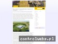 Screenshot strony wynajem-magazyn.pl