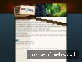 Screenshot strony wineandtravel.pl