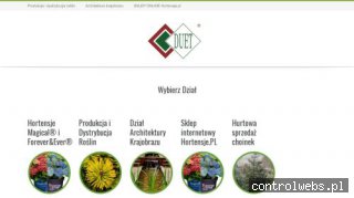 Hortensje wielokwiatowe
