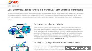 Netprotection.pl - usługi informatyczne, outsourcing it