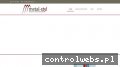 Screenshot strony www.metal-styl.com