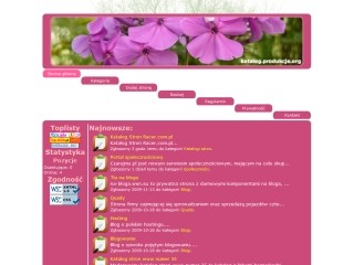 SEO katalog