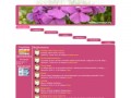 Screenshot strony katalog.produkcje.org