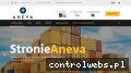 Screenshot strony www.aneva.pl