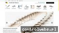 Screenshot strony www.metalmax.pl