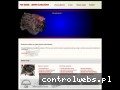 Screenshot strony www.diesel-serwis.waw.pl