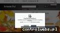 Screenshot strony www.hurtownia-24.pl