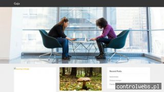 GAJA plantacje choinek