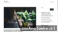 Screenshot strony nosiszto.pl