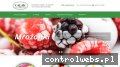 Screenshot strony calaklody.pl