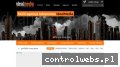 Screenshot strony idealmedia.pl