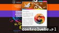 Screenshot strony drukarnia.gliwice.pl