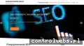 Screenshot strony pozycjonowanie-seo.pl