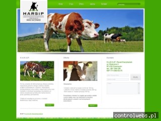 H.A.R.S.iP. PAWEŁ KACZMAREK byki rzeźne