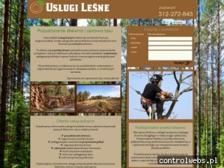 USŁUGI LEŚNE pozyskiwanie drewna