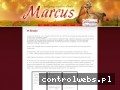 Screenshot strony www.pphu-marcus.pl