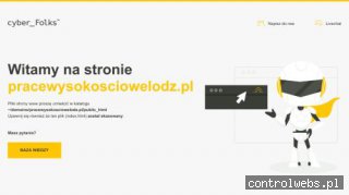 Prace wysokościowe Łódź