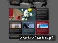 Screenshot strony atrans-plock.pl