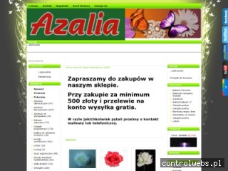 Azalia- artykuły dekoracyjne