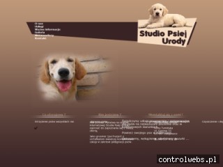 Strzyżenie psów Bydgoszcz