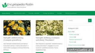 Rośliny i kwiaty