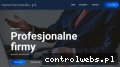 Screenshot strony nanotecendo.pl