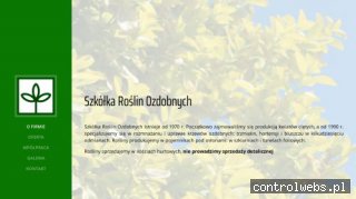 Szkółka roślin ozdobnych Trzmielina