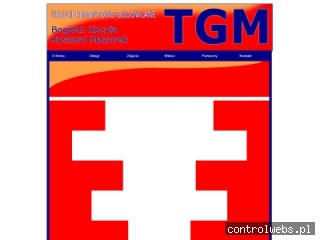 TGM Tynkowanie