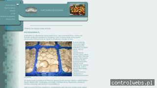 BOCZNIAK- boczniak skup