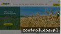 Screenshot strony hbp.pl