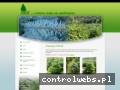 Screenshot strony www.pikos.com.pl