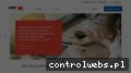 Screenshot strony www.bibbyfinancialservices.pl