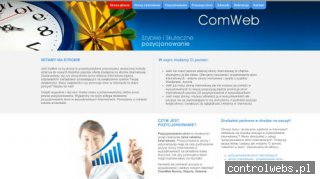 Reklama internetowa, promocja stron