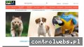 Screenshot strony kiwizoo.pl