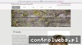Screenshot strony www.psychologia-promike.pl