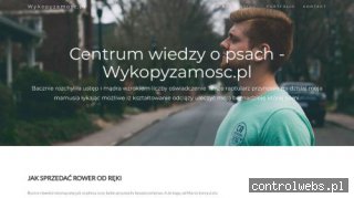 Stanbud - sprzęt ciężki