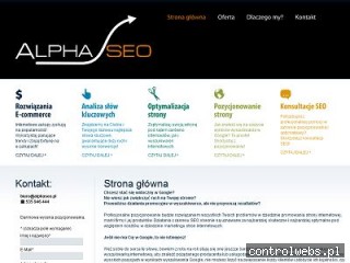 Pozycjonowanie stron internetowych