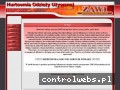 Screenshot strony www.zawi.com.pl