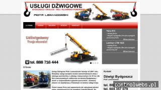 P. Lewandowski - dźwigi samochodowe