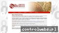 Screenshot strony www.bestax.pl