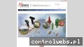 Screenshot strony euromold.pl