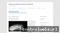 Screenshot strony www.glimmer.com.pl