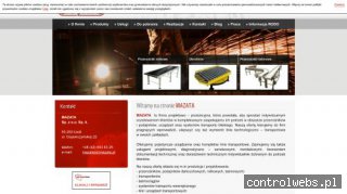 Przenośniki taśmowe produkcja