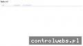 Screenshot strony spydrone.pl