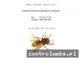 Screenshot strony www.insekt.opole.pl