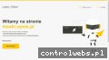 Screenshot strony www.insekt.opole.pl
